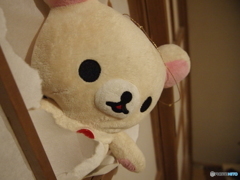 あーあ。やっちゃった…(笑)