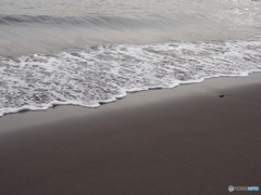岩港の、波とたわむる。
