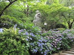 あじさいまつり'10