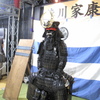 TGS2009