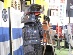 TGS2009