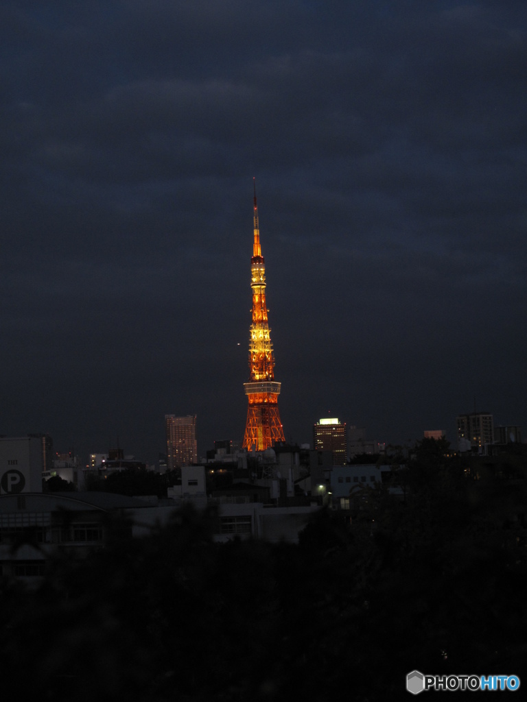 東京タワーを縦に日の丸構図で。