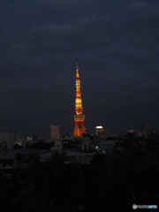 東京タワーを縦に日の丸構図で。