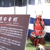 TGS2009