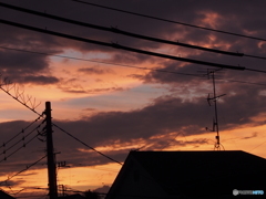 日曜の夕焼け