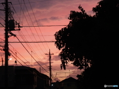 月曜日の夕焼け