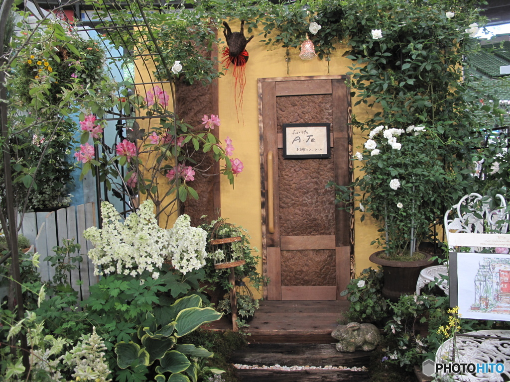 国バラ写真集「紫陽花」