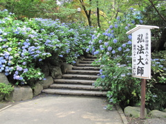 あじさいまつり'10