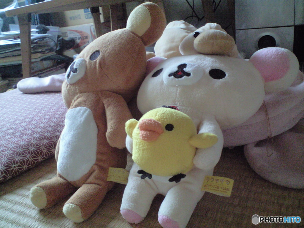 雑な部屋。現状と変わらず…(^_^;)
