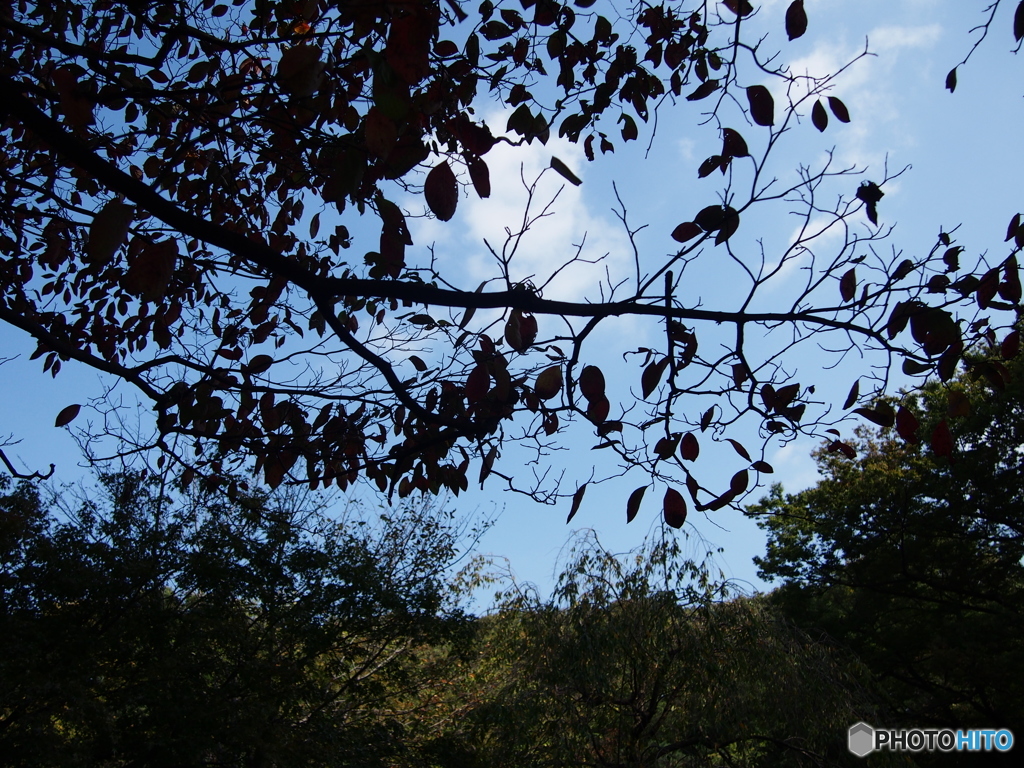 有栖川宮記念公園