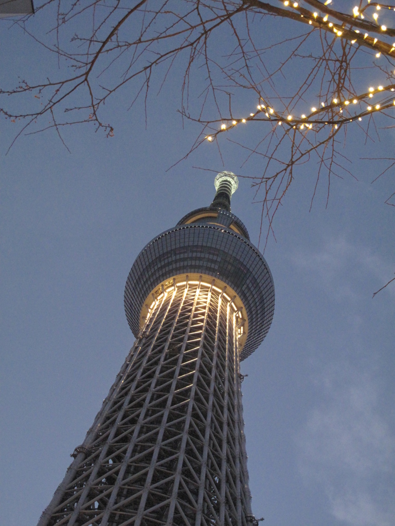 「雅」、点灯(壱)