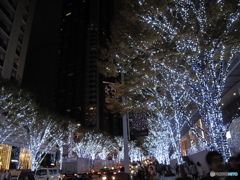 六本木ヒルズ クリスマス2011