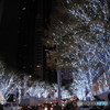 六本木ヒルズ クリスマス2011