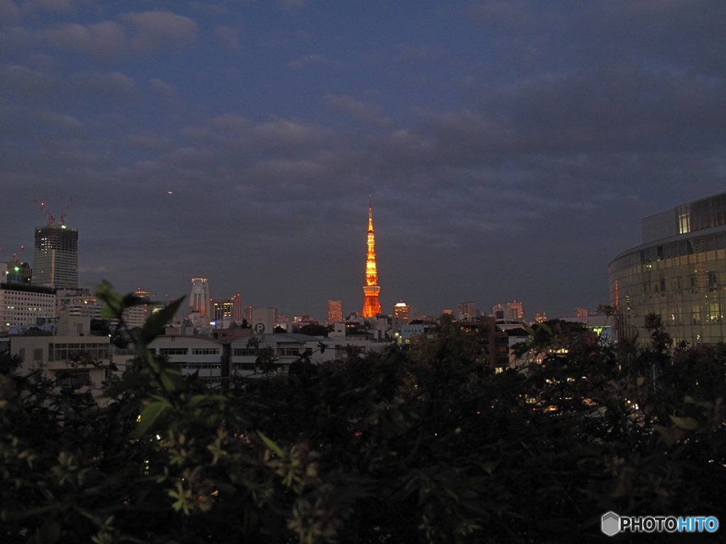 東京タワーfrom六本木ヒルズ