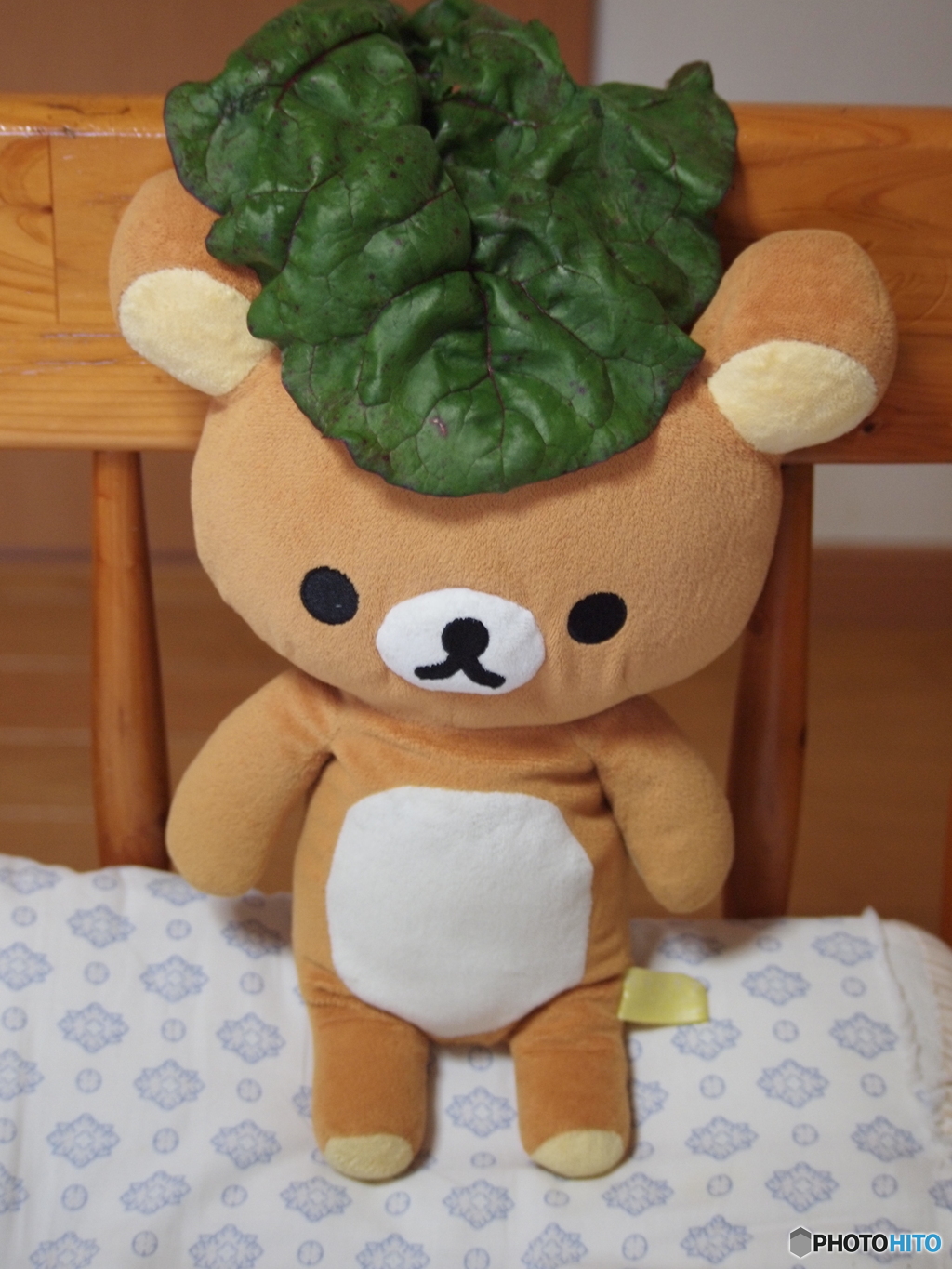 E-P1作例。