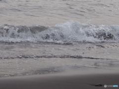 岩港の、波とたわむる。