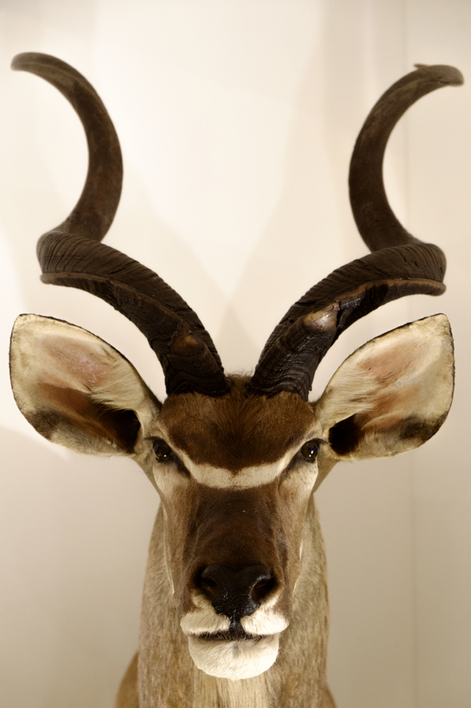 symmetry３