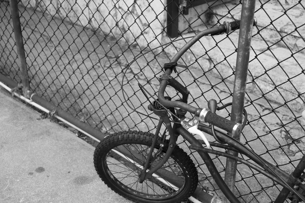 beach cruiser