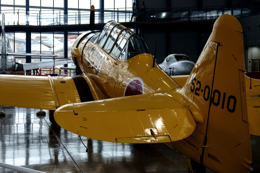 T-6