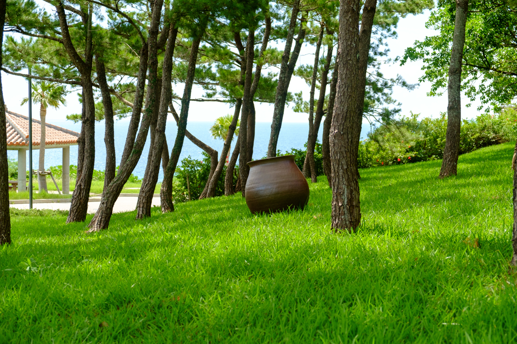 壺のある風景１