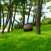 壺のある風景１