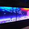 リサイクルの海