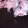 プラスチックの花