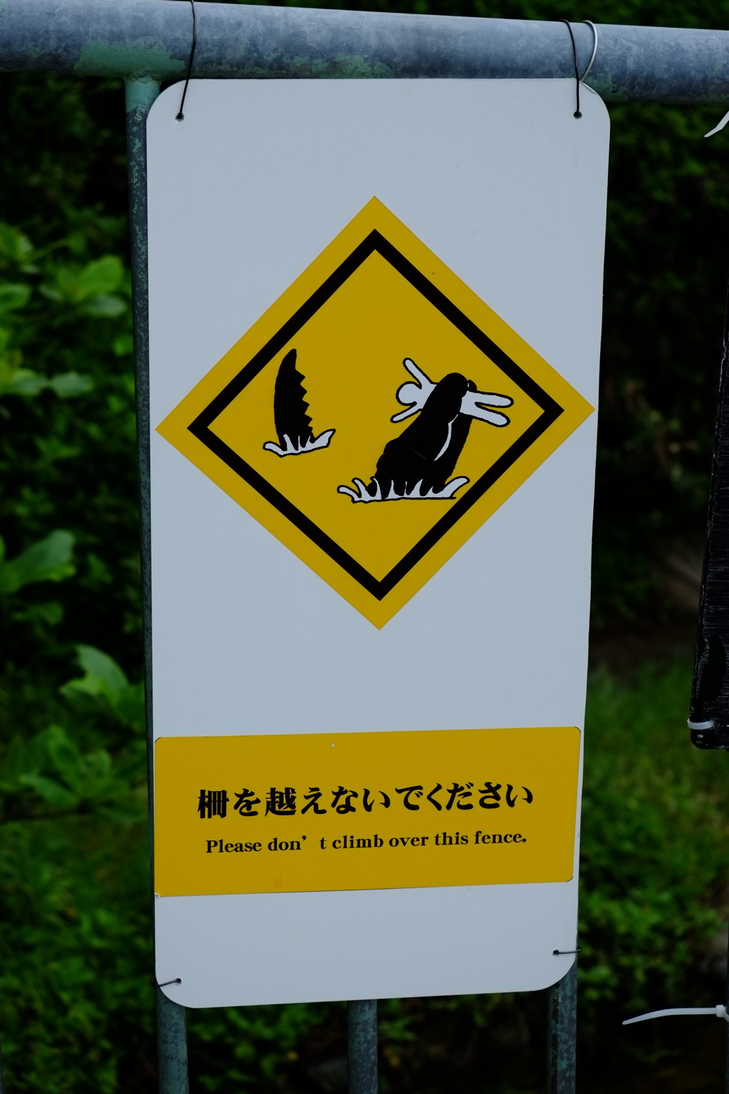 こうなる