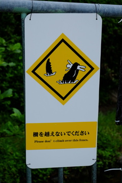 こうなる