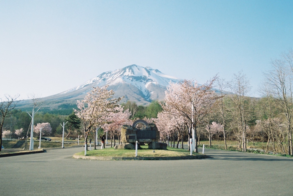 岩木山と桜