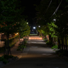 DSCF2775