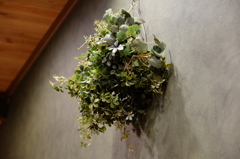 DSCF2644