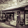 公園の茶店