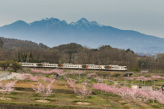 新府の桃