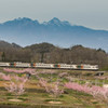 新府の桃