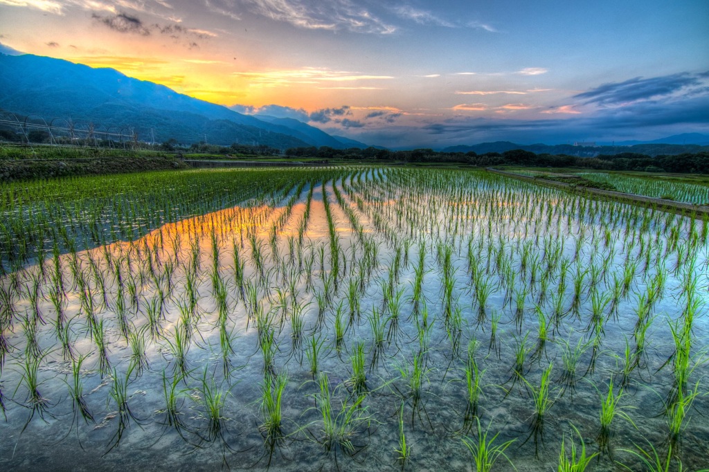 田園風景