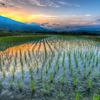 田園風景