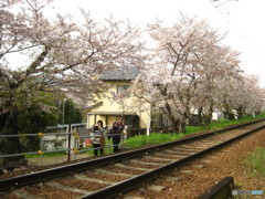 まわりも一緒
