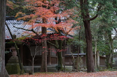 石川県尾上神社