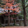 石川県尾上神社
