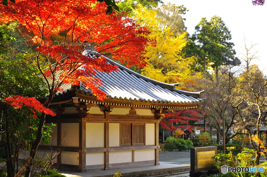 鎮国寺