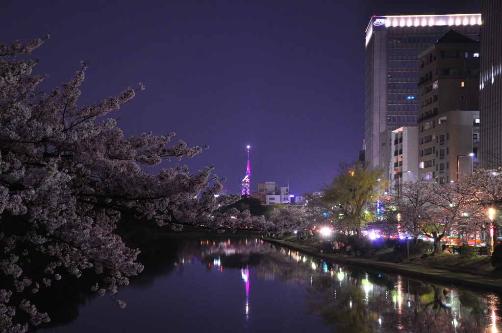 桜と福岡タワー