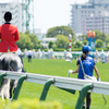 HAKODATE-RACECOURSE