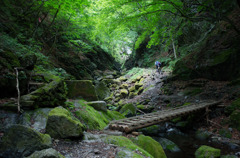 奥多摩　川苔山