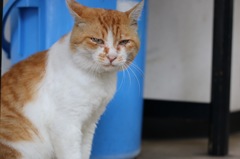 なに見てんだよ