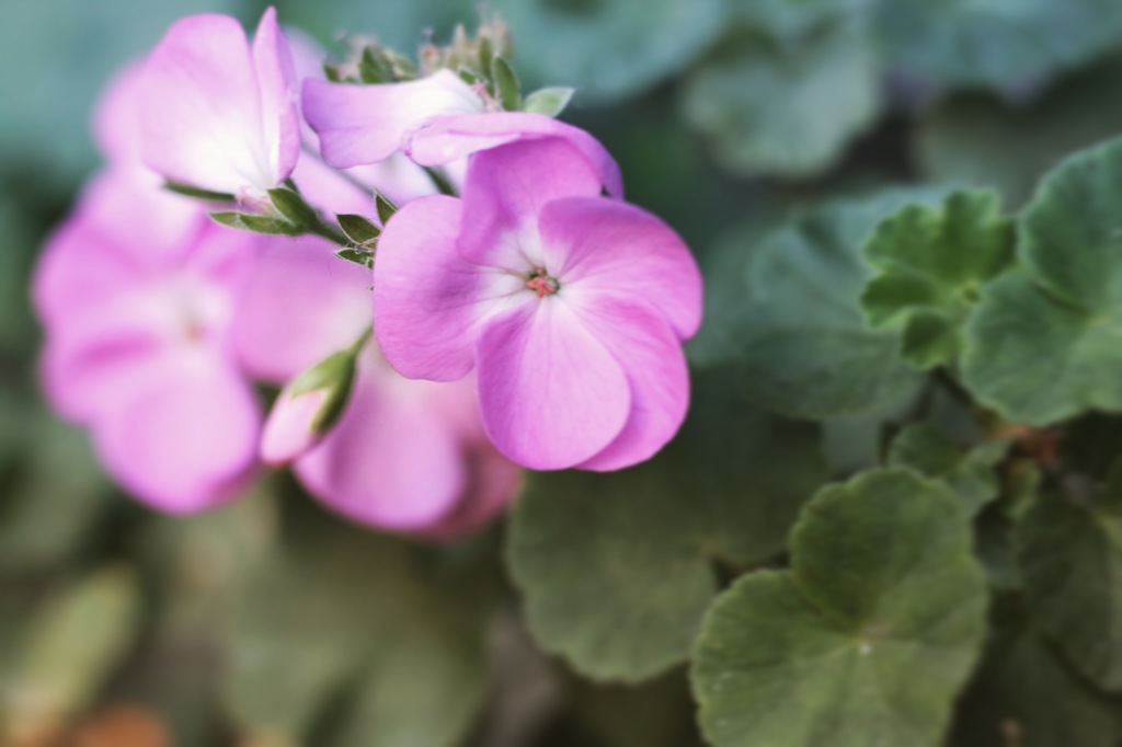上ばかり見ていたら気づかないもの