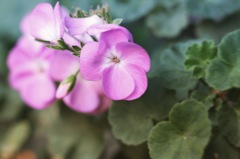 上ばかり見ていたら気づかないもの