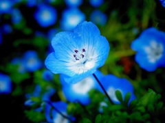 目の覚めるようなblue