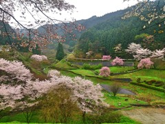 里の春