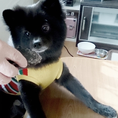 名前はプー